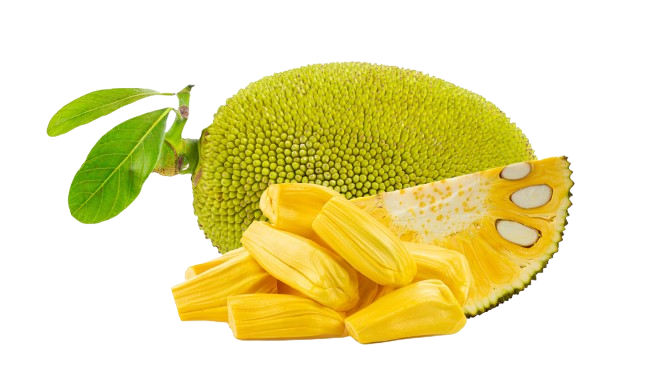 Jackfruit