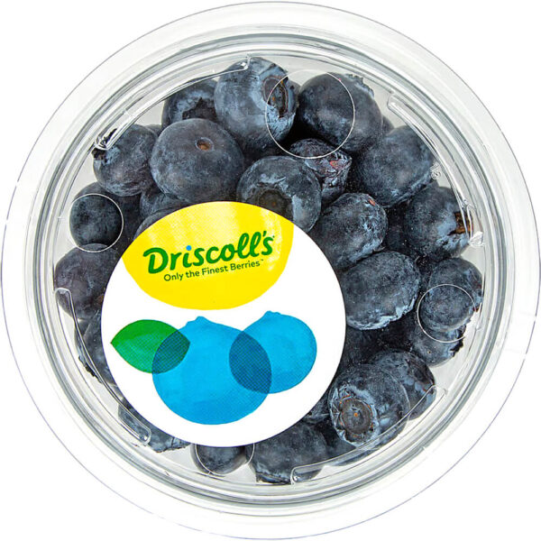 Blueberry Driscoll’s