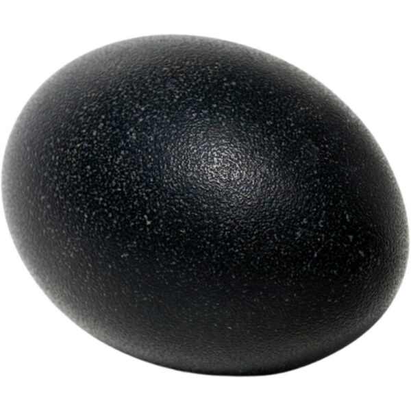 Emu Eggs
