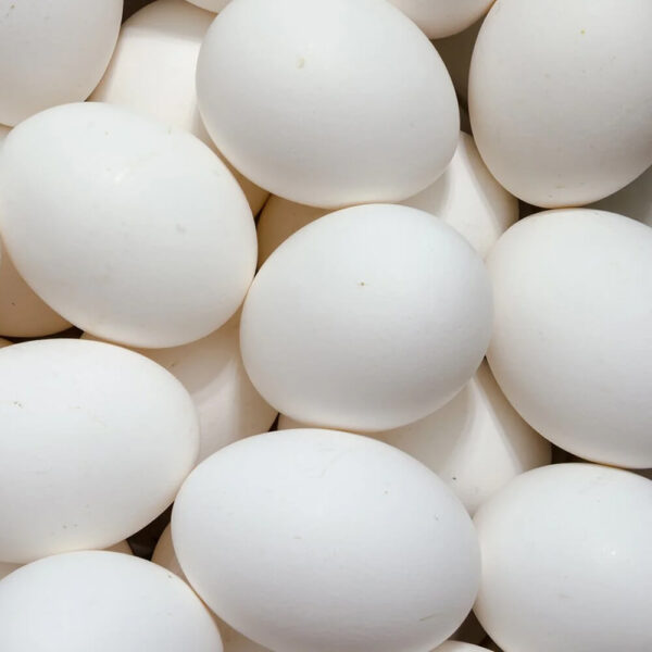 White Eggs